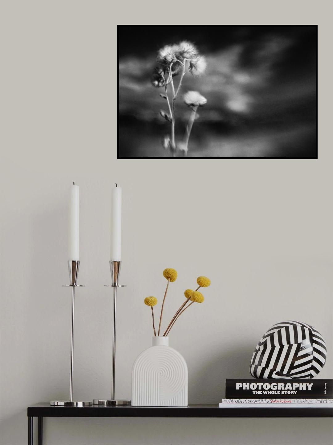Poster och Canvastavla