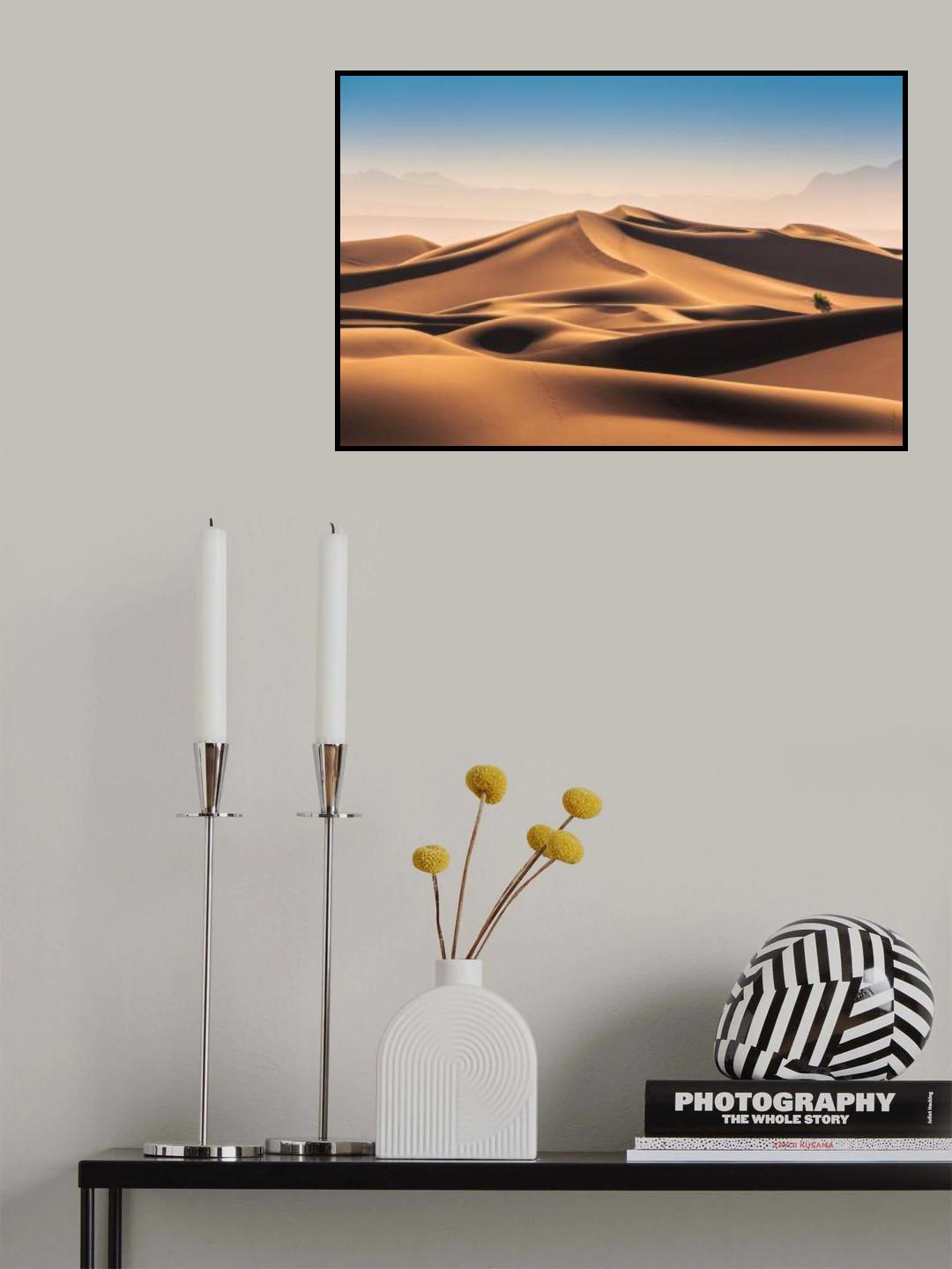 Caracal Desert Poster och Canvastavla
