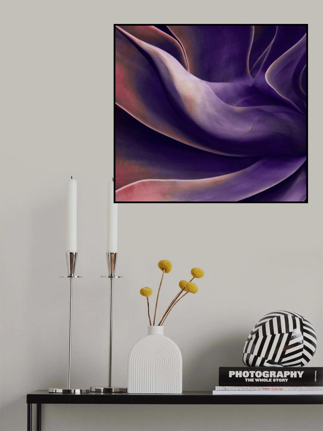 Agave in shades of violet Poster och Canvastavla