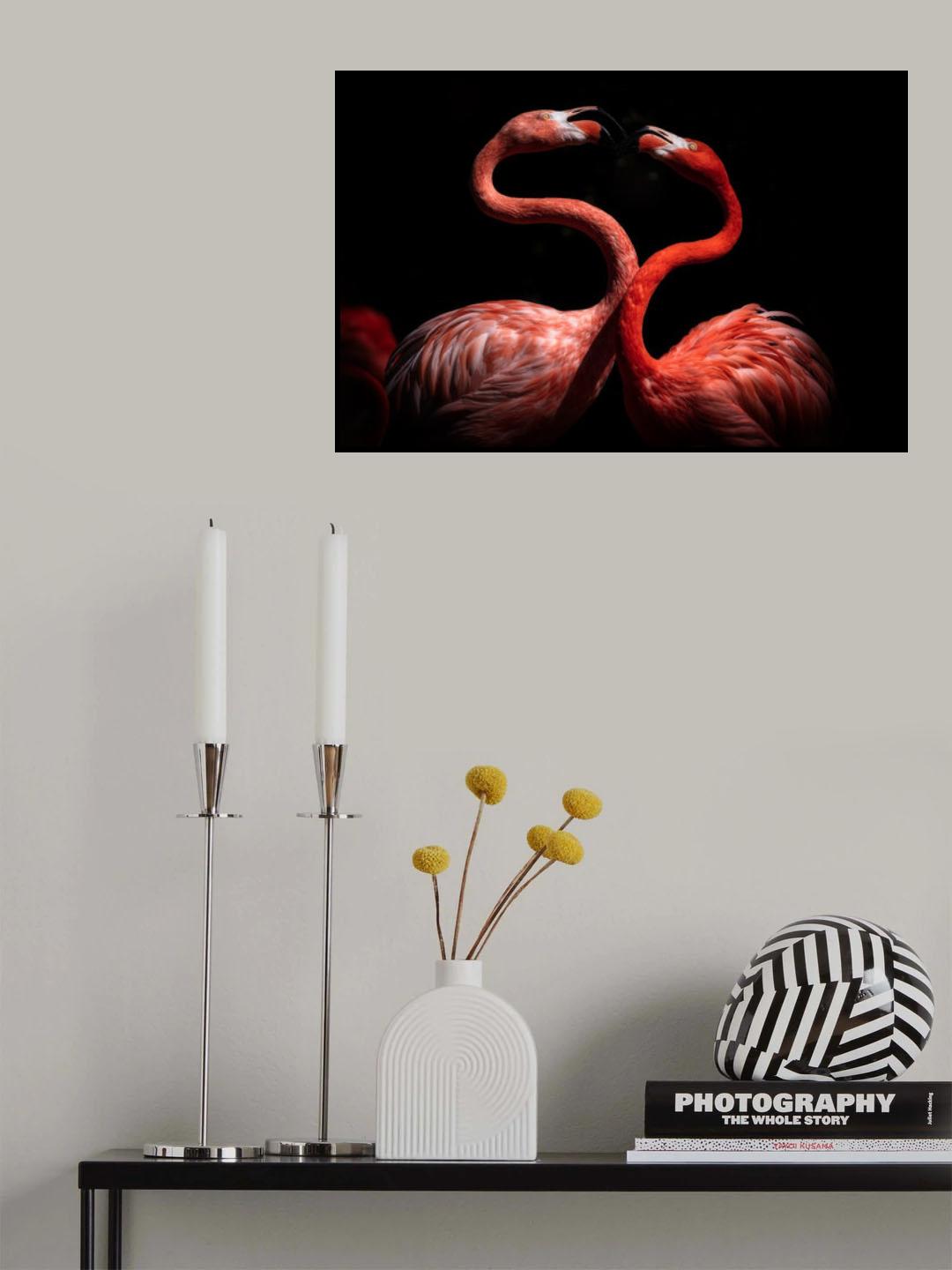 Flamingos Poster och Canvastavla