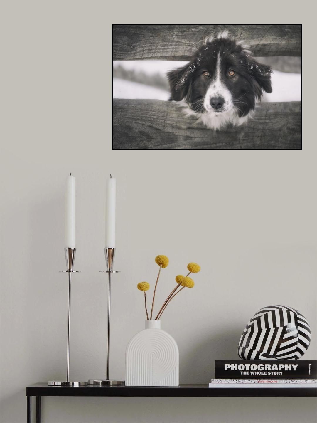 The Watchdog Poster och Canvastavla