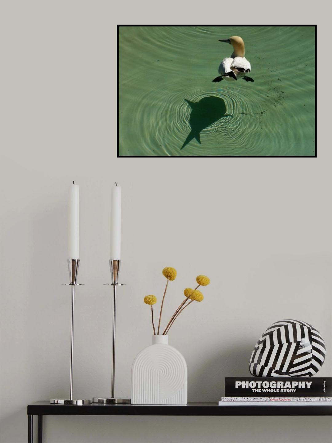 Shark attack Poster och Canvastavla