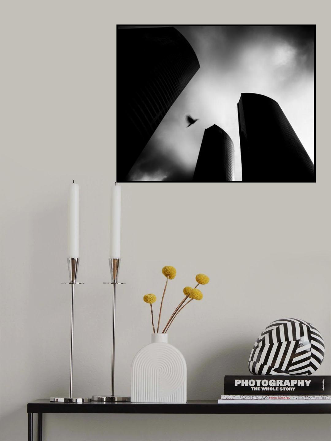 The Lost Bird-Homage for André Kertész Poster och Canvastavla