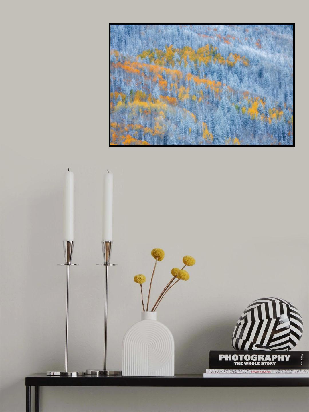 Transition of Seasons Poster och Canvastavla