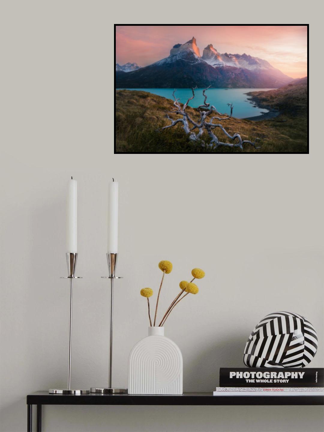 Morning in Torres del Paine Poster och Canvastavla