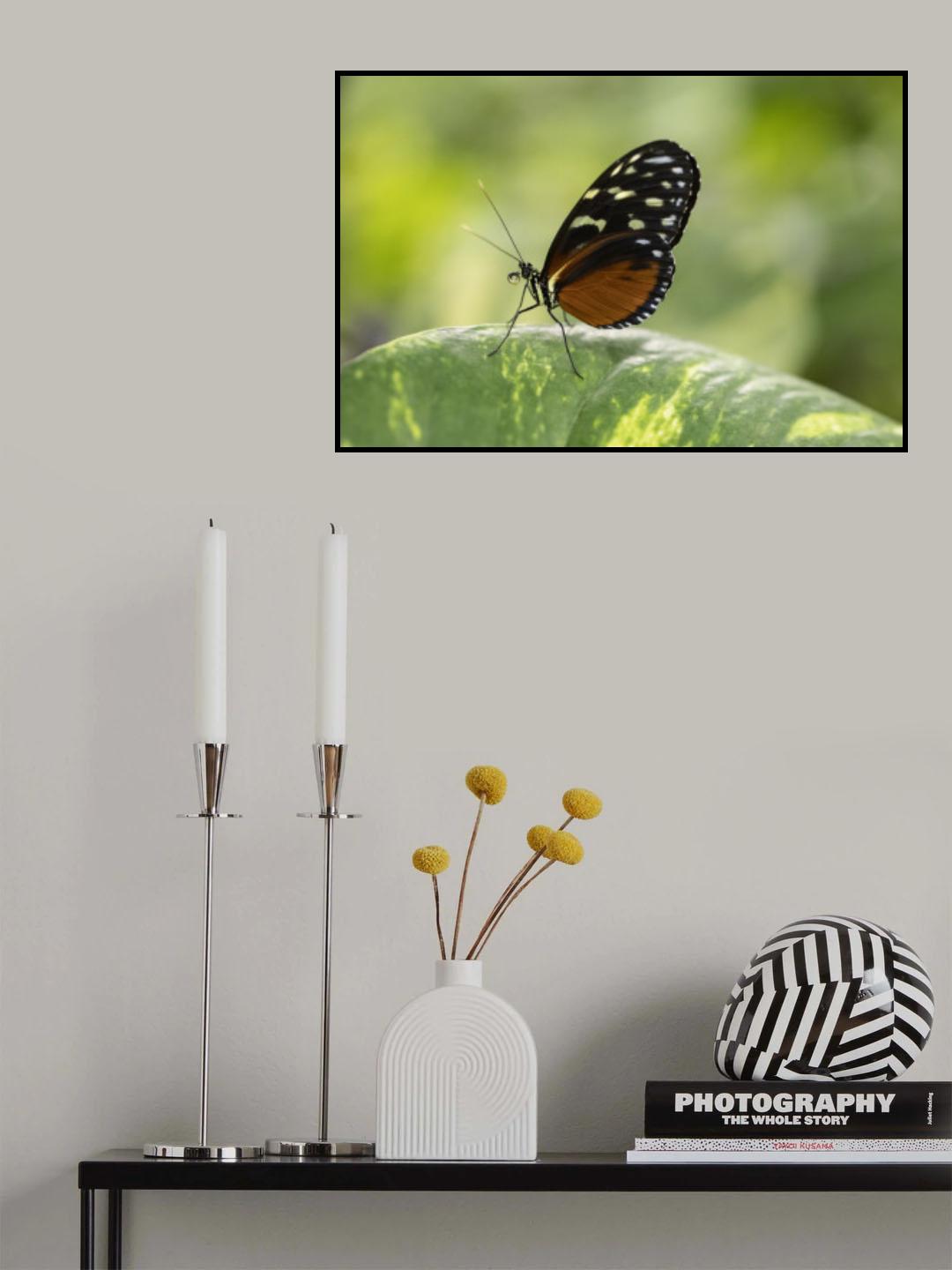 Perfect balance Poster och Canvastavla