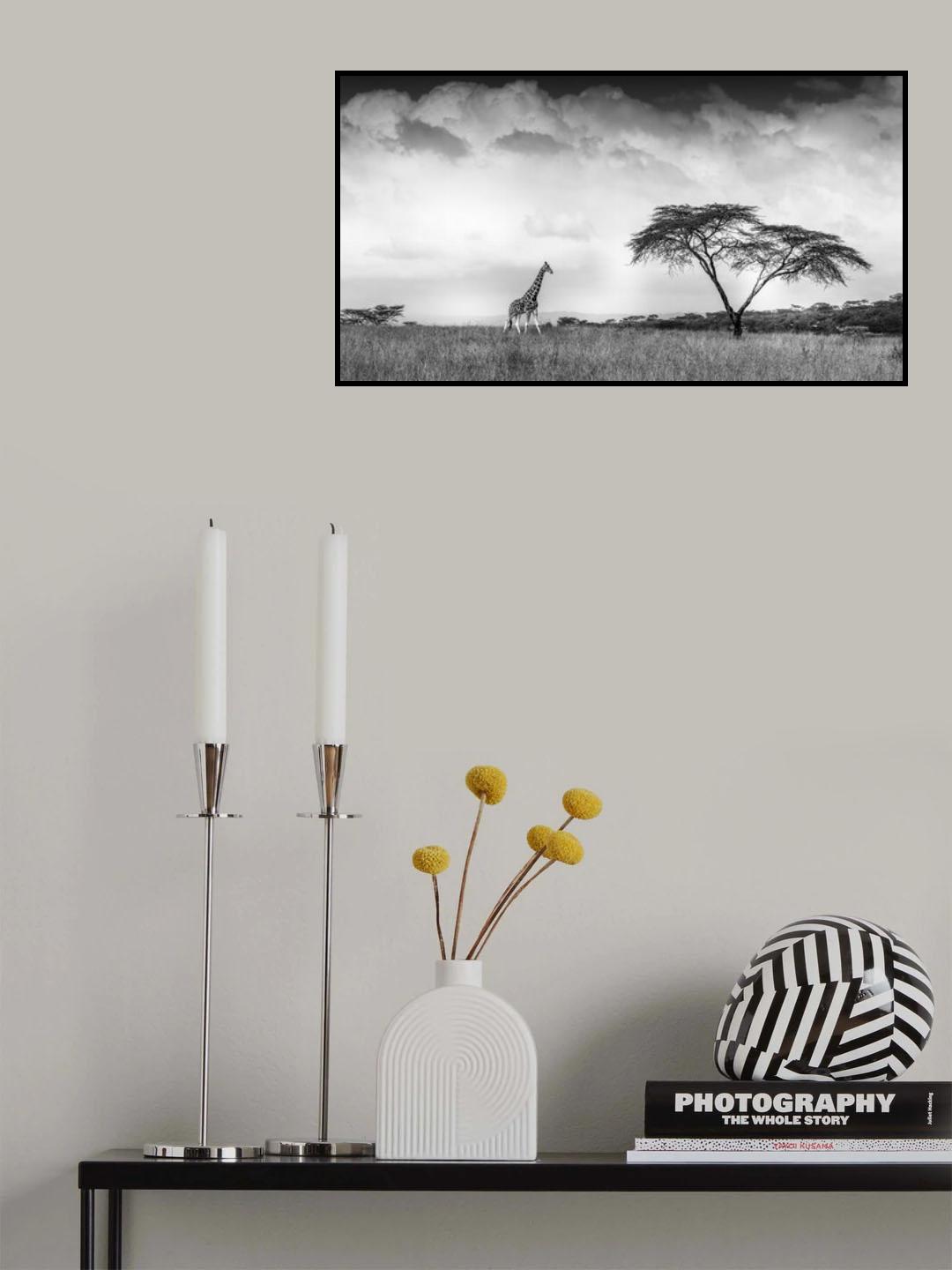 And I dreamed of Africa Poster och Canvastavla