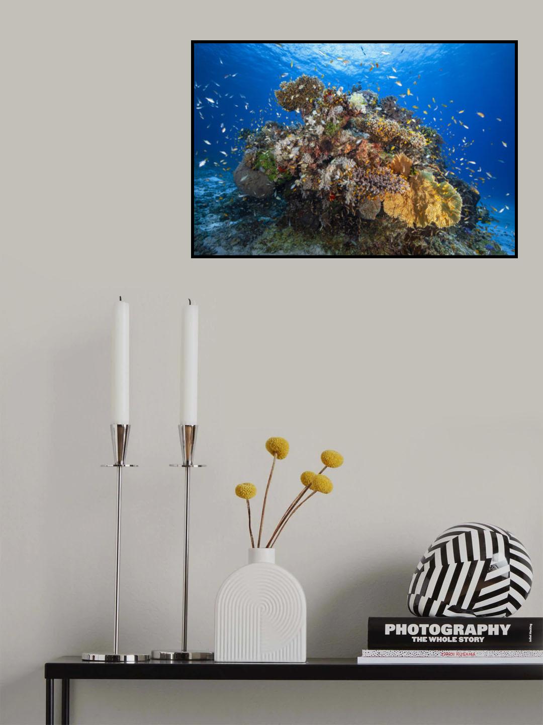 Underwater biodiversity Poster och Canvastavla