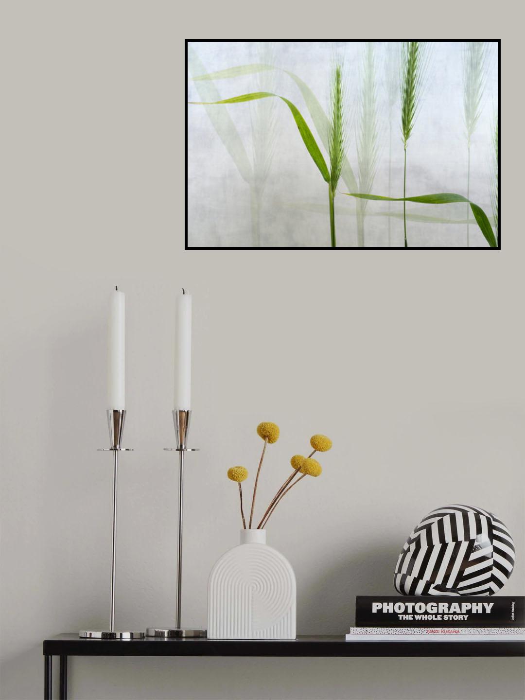 Wavy green Poster och Canvastavla