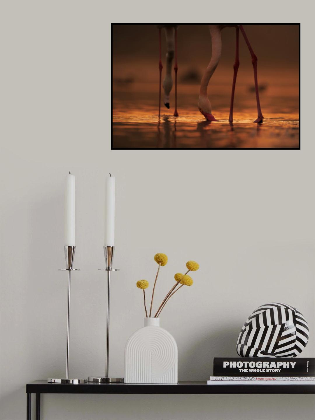 Drinking Life .... Poster och Canvastavla