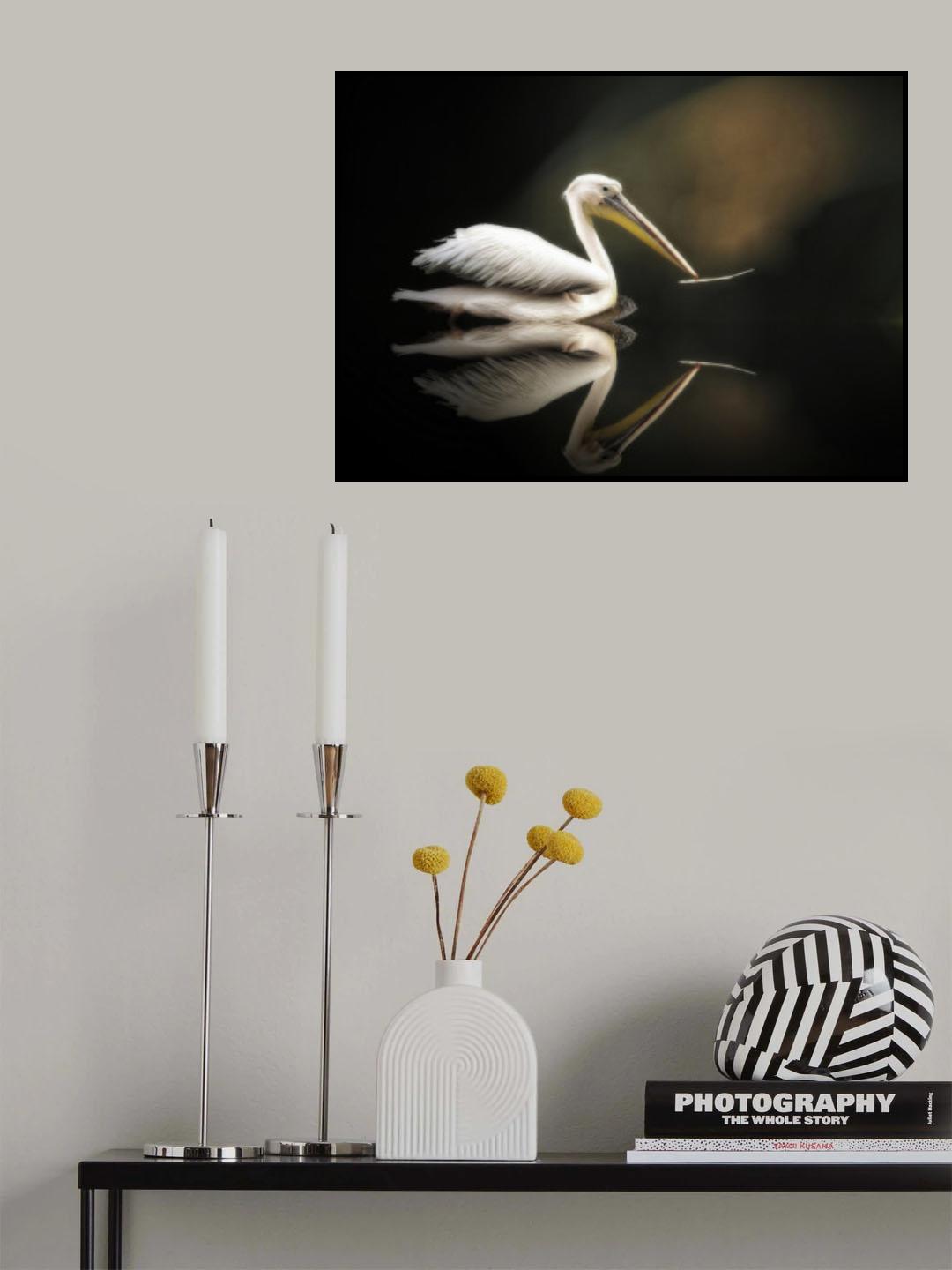 pelican Poster och Canvastavla