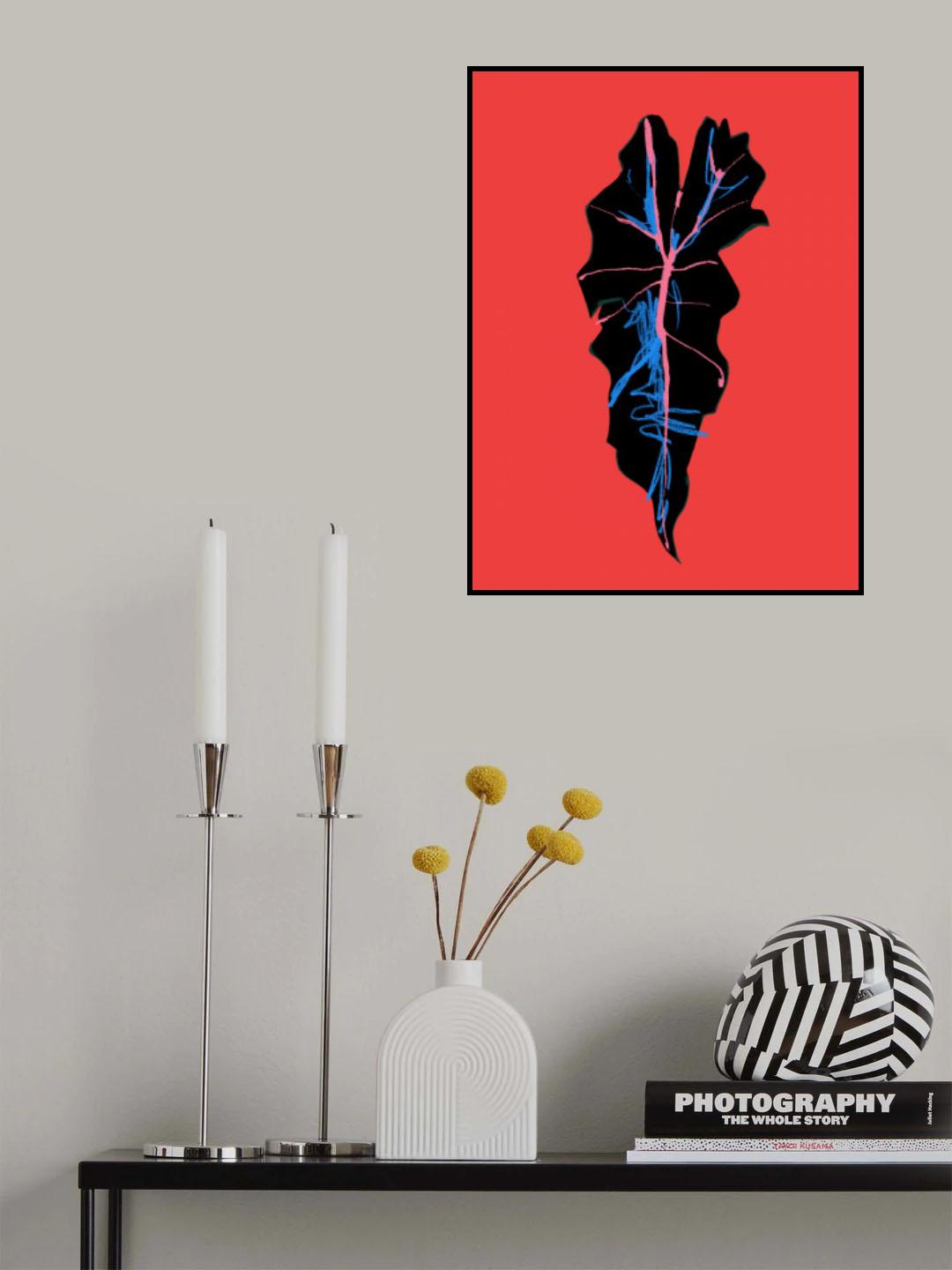 Alocasia Polly Red Poster och Canvastavla