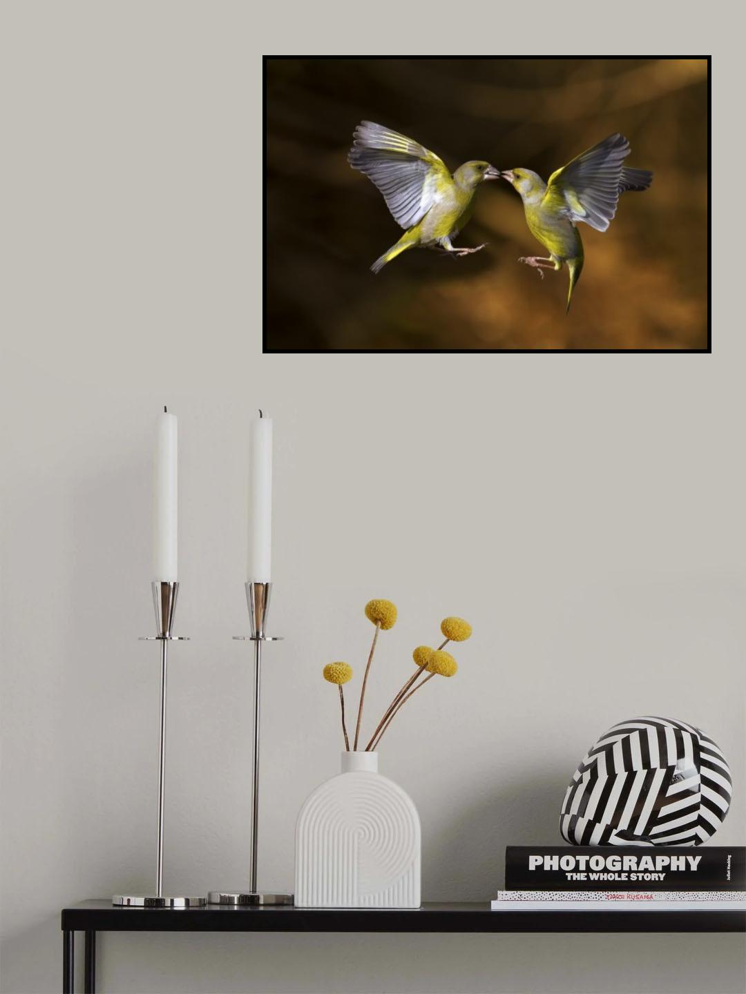 Flying Kiss 19 Poster och Canvastavla