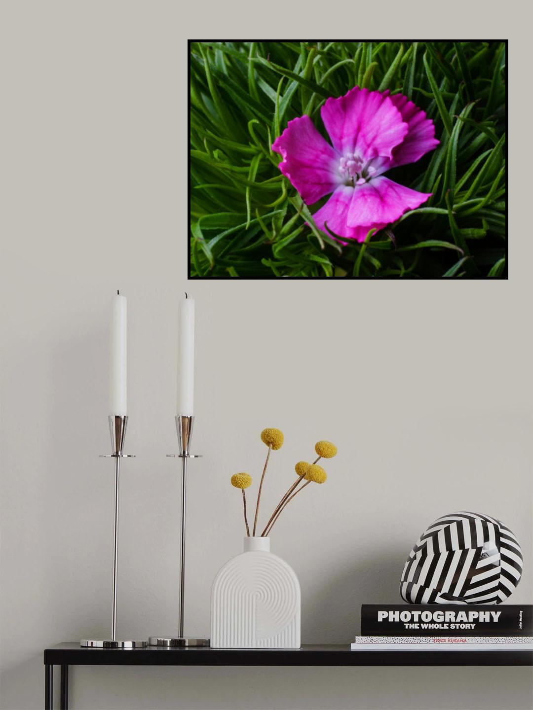 spring flower Poster och Canvastavla