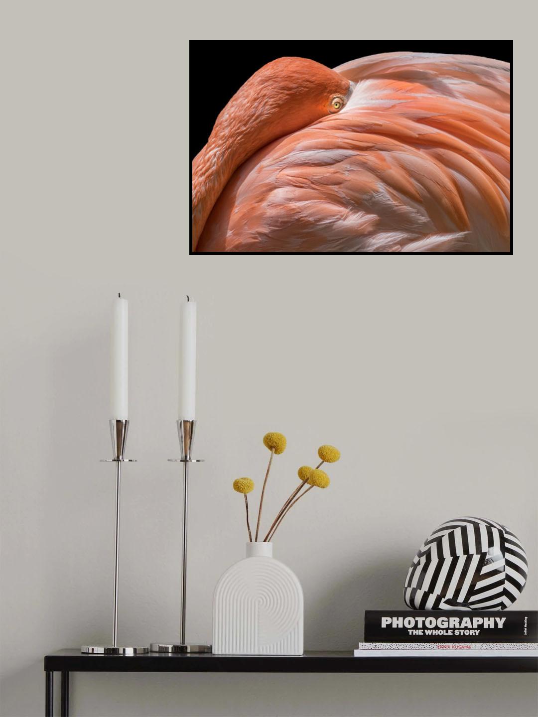 Peek Poster och Canvastavla