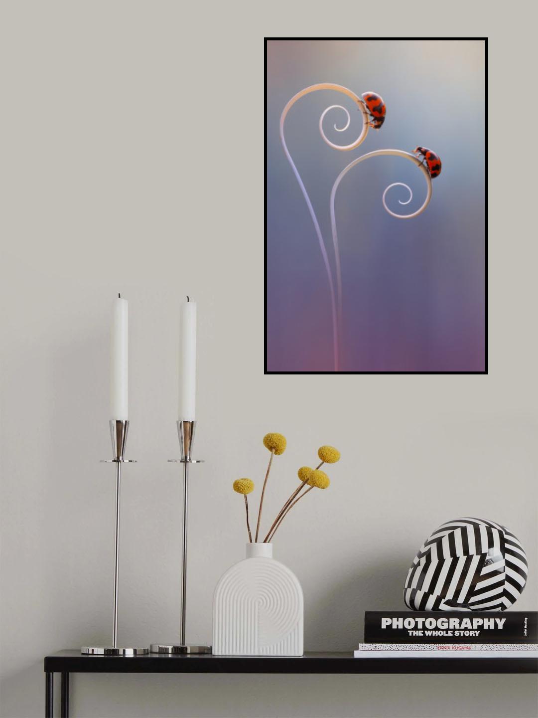 Beautiful Two Ladybug Poster och Canvastavla