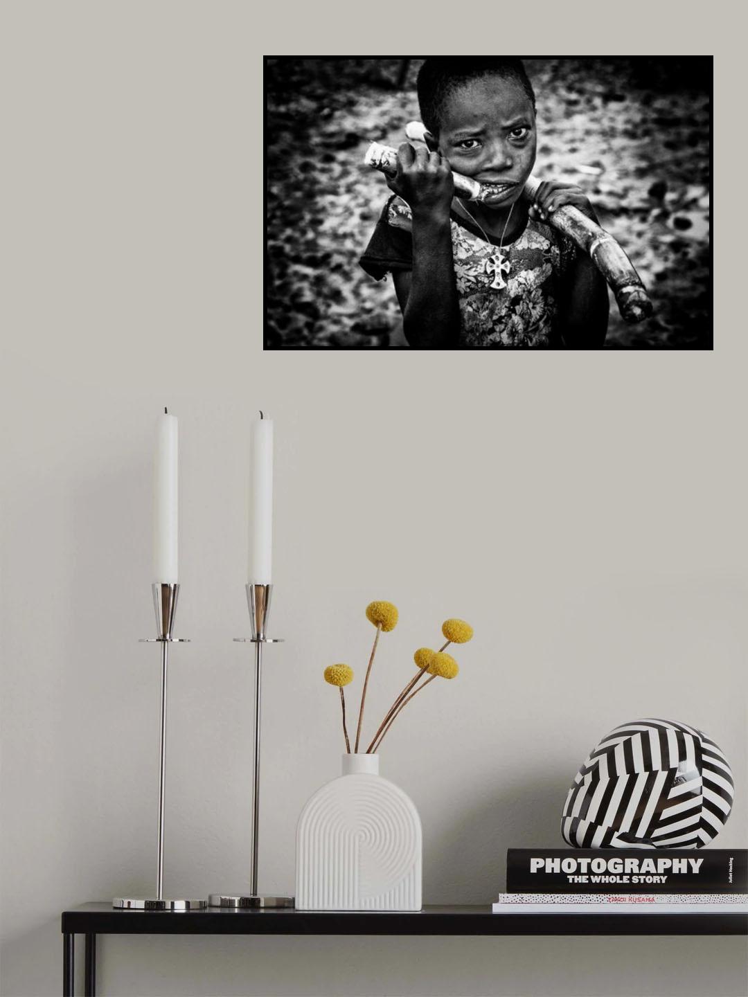Eating sugar cane. Poster och Canvastavla
