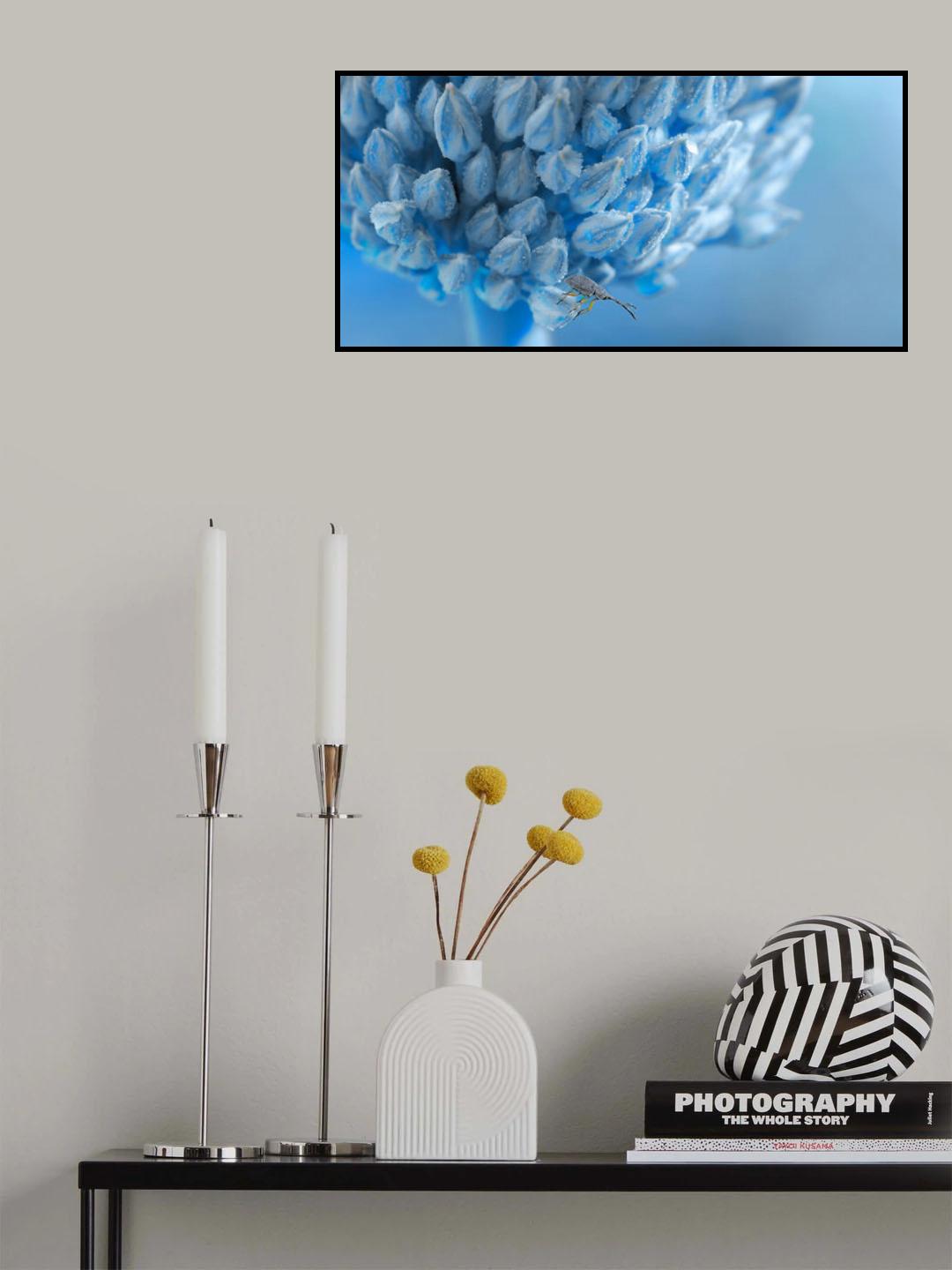 At the edge of the sea of ice... Poster och Canvastavla