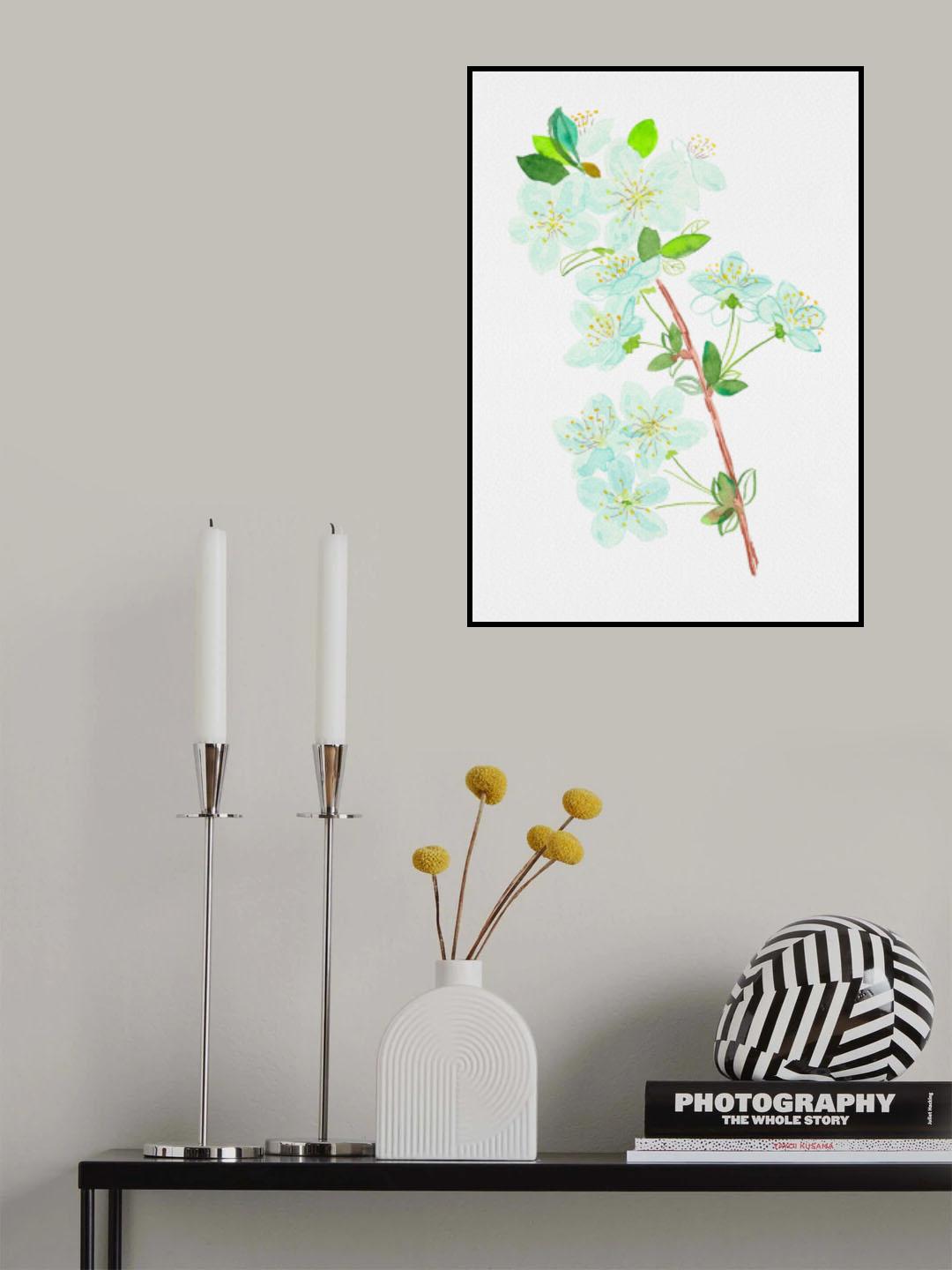 Wild cherry or Prunus avium botanical painting Poster och Canvastavla