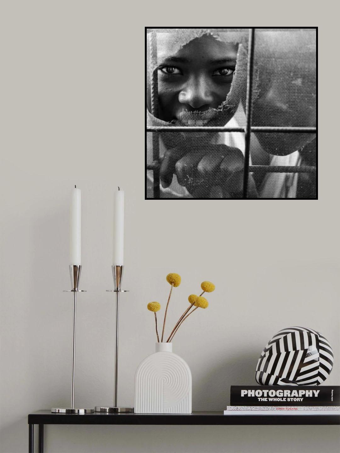 Curious Poster och Canvastavla