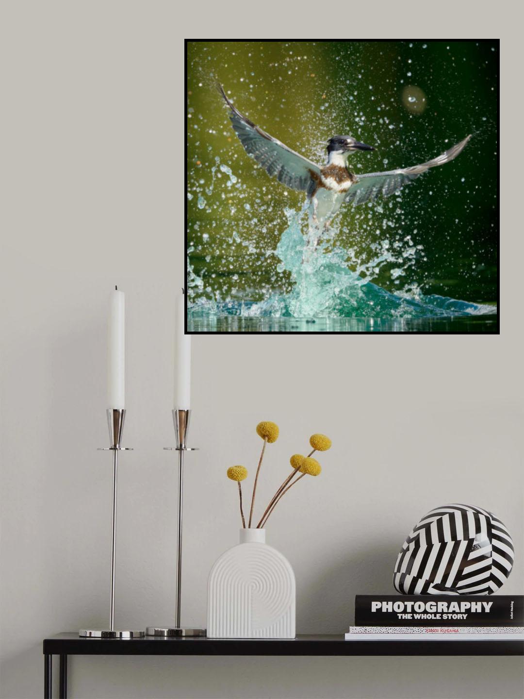Water Ballet Poster och Canvastavla