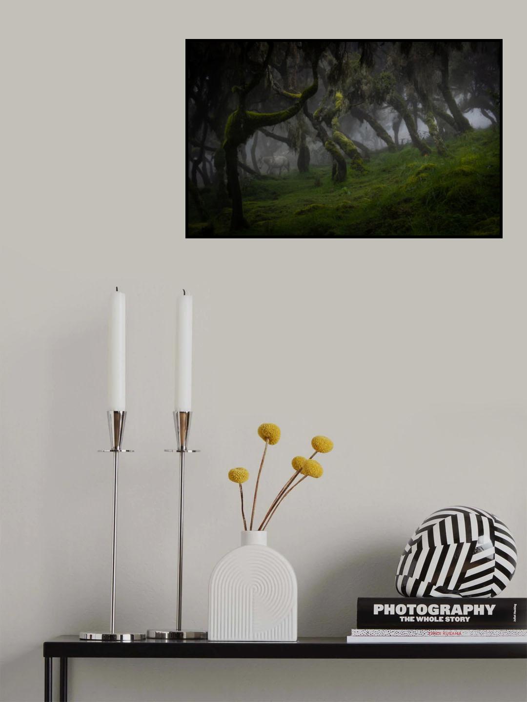 Harenna Forest Poster och Canvastavla