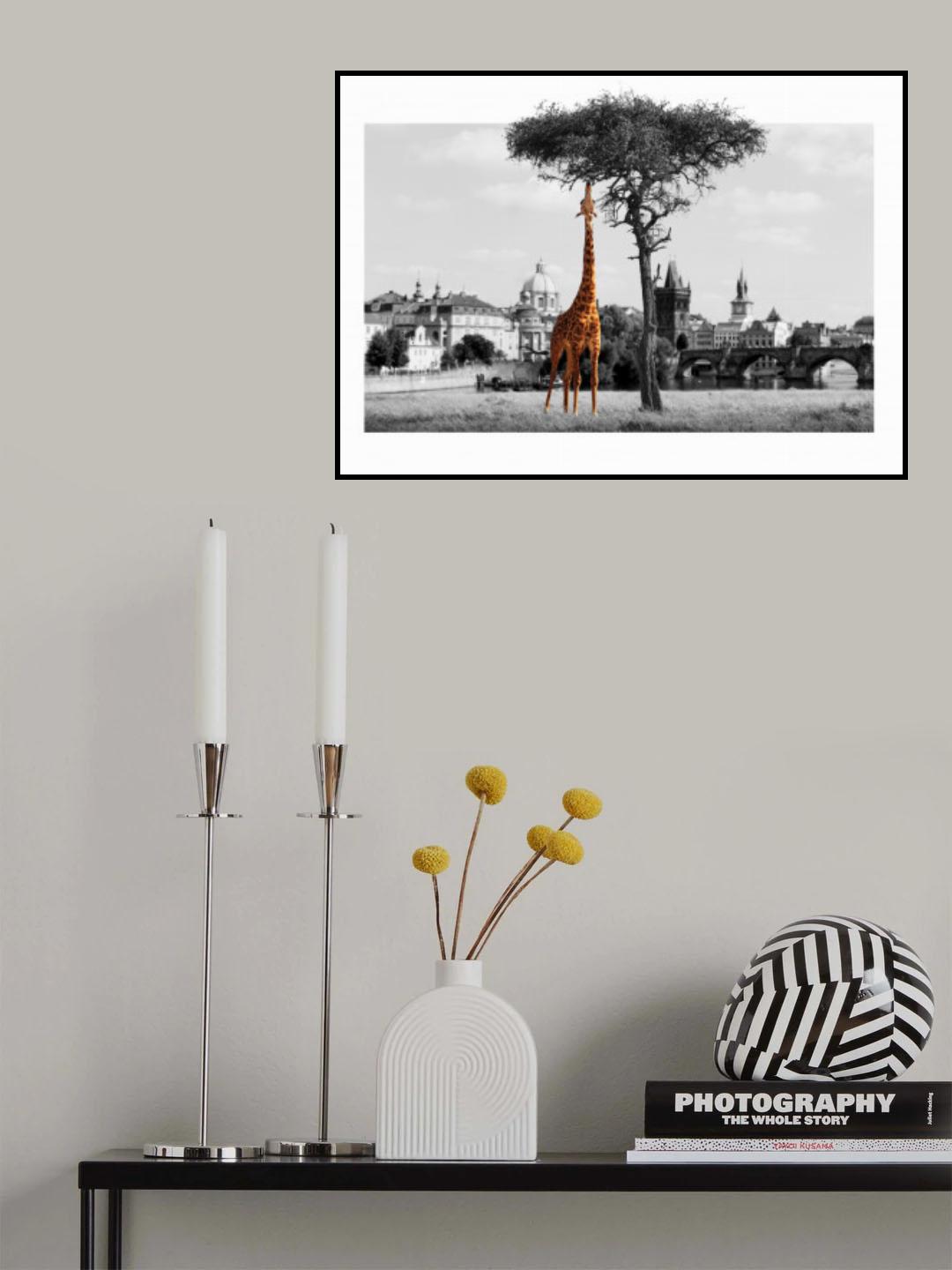 The Feeder Poster och Canvastavla