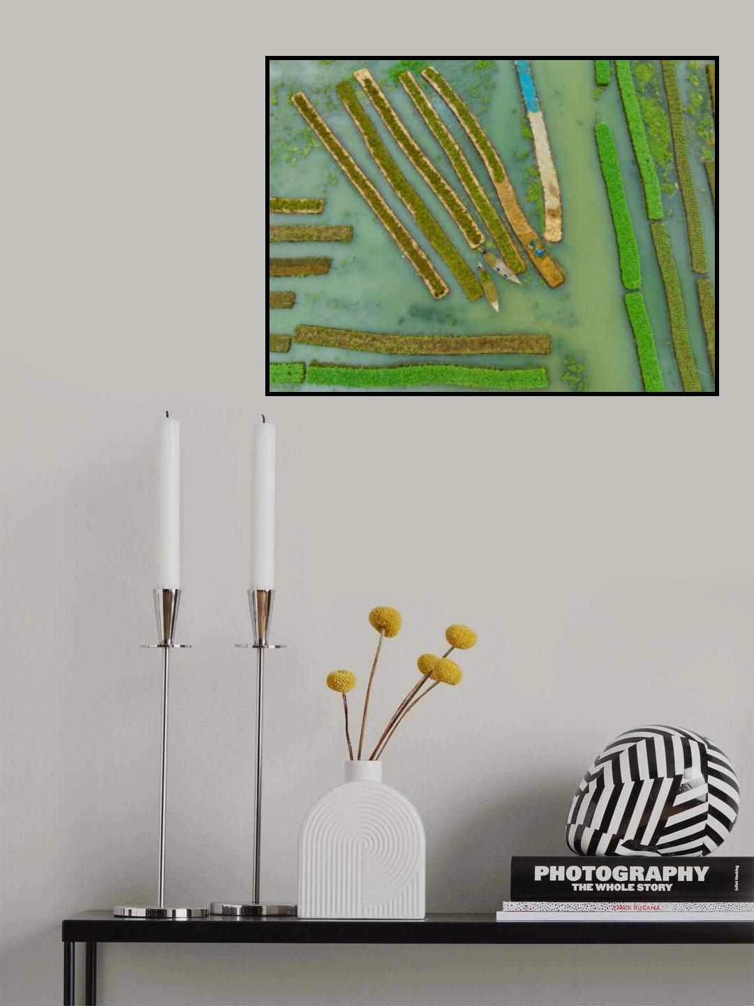Floating Vegetable seedlings Poster och Canvastavla