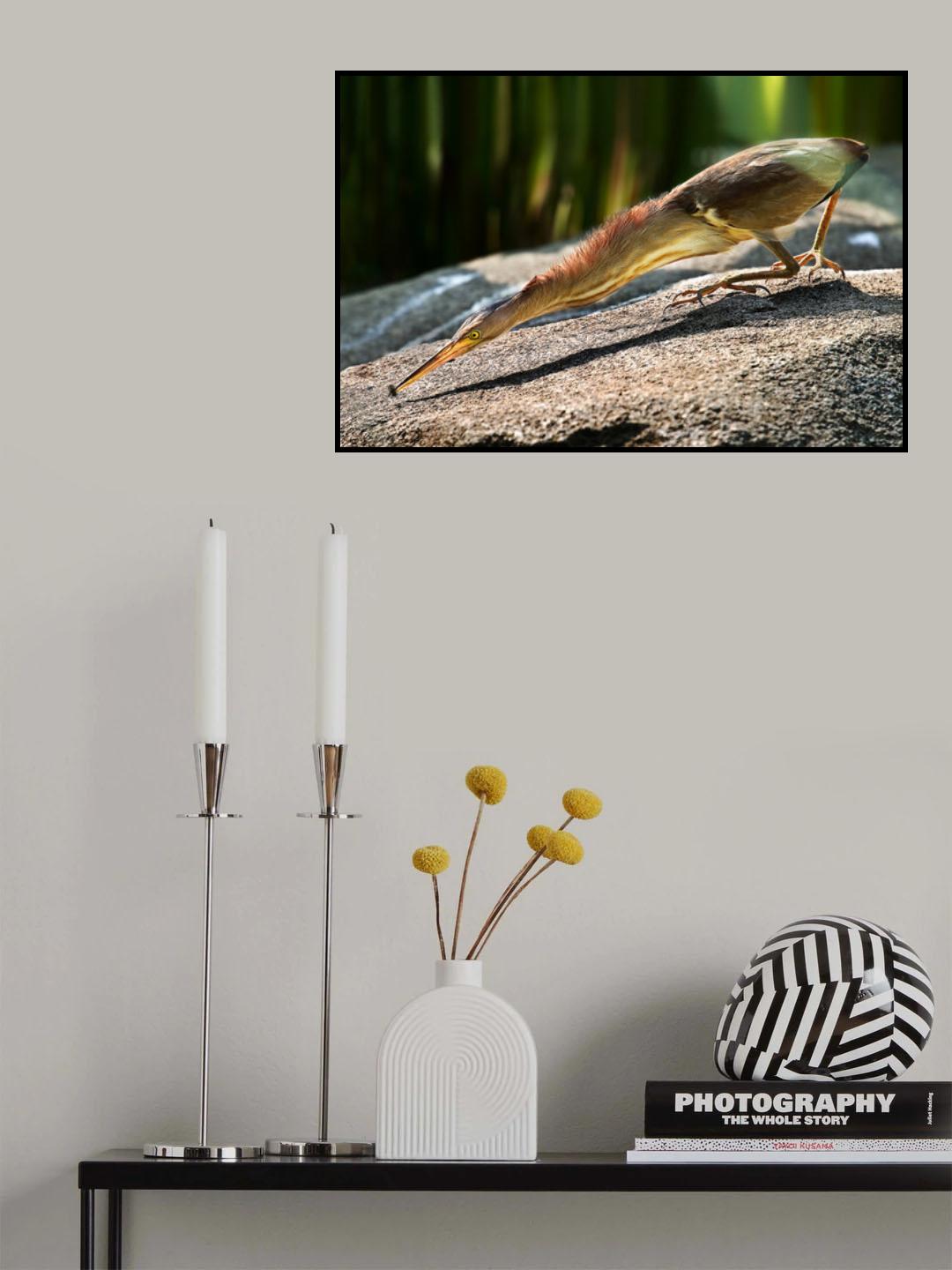 Gotcha Poster och Canvastavla