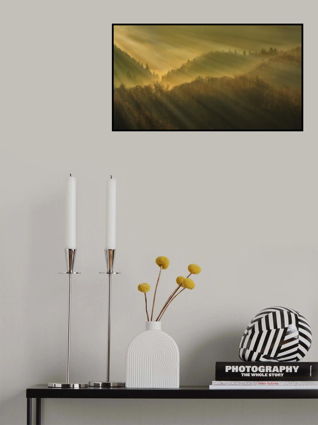 Rays of morning Poster och Canvastavla