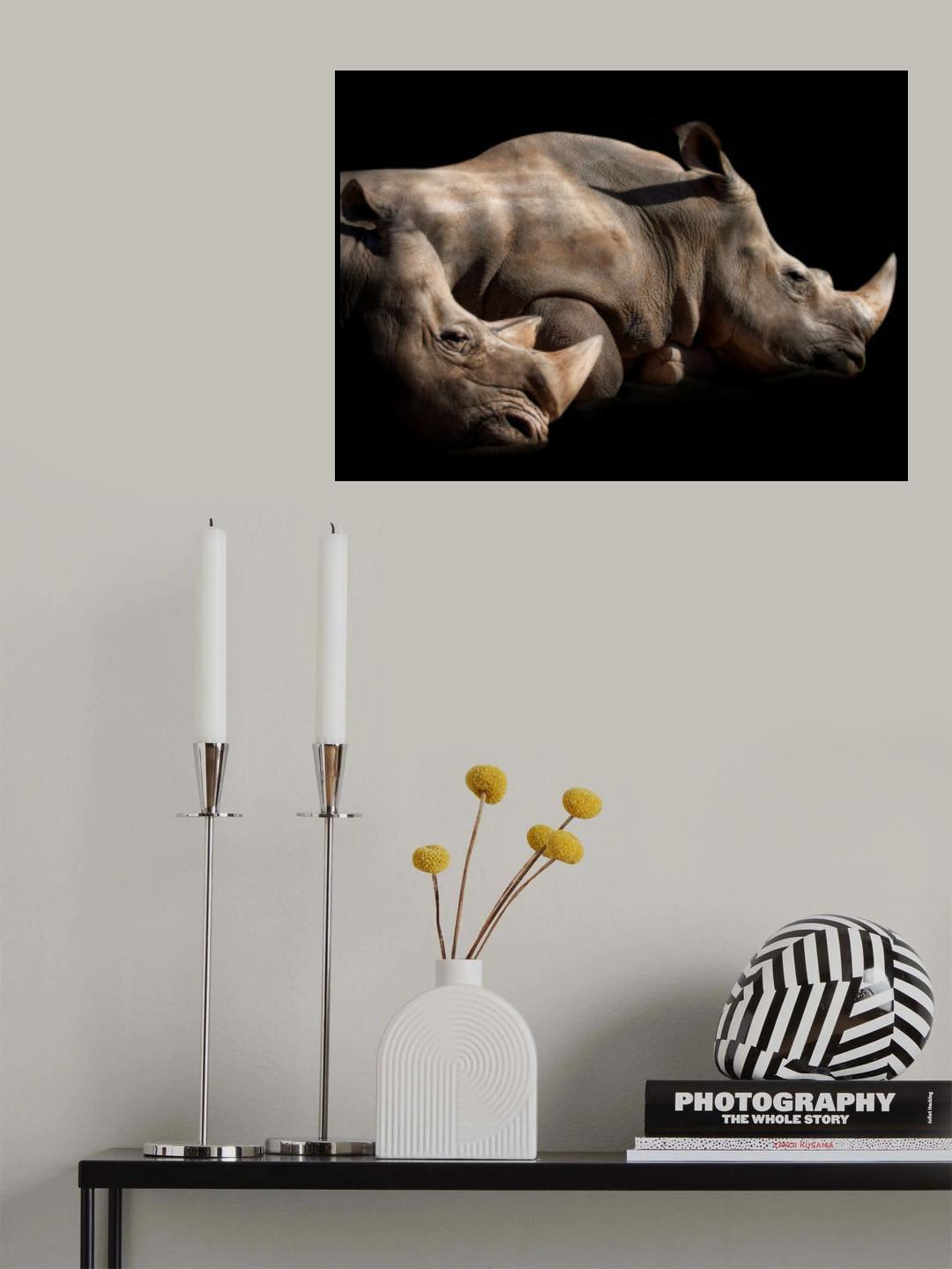 the NAP time Poster och Canvastavla