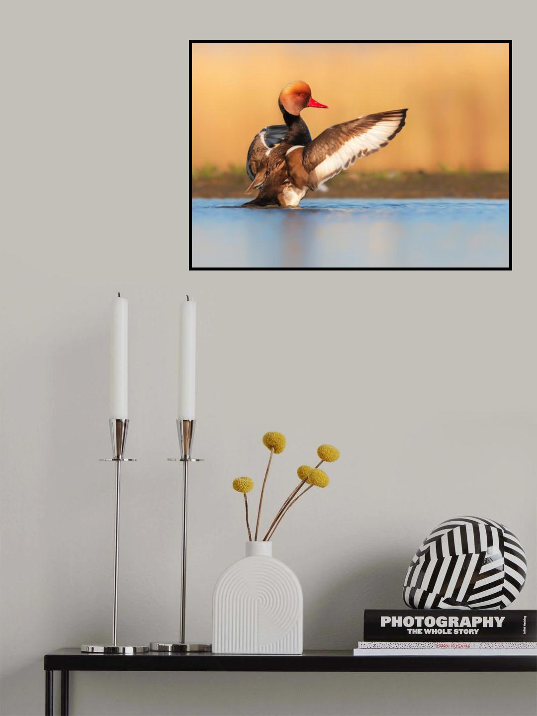 Spread wings Poster och Canvastavla