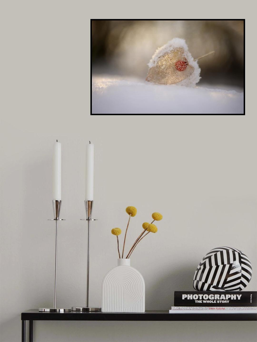 Physalis in Snow Poster och Canvastavla
