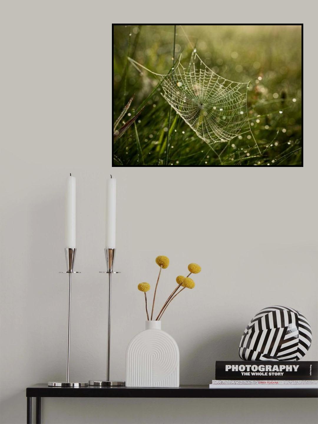 Cobweb and dew no. 2 Poster och Canvastavla