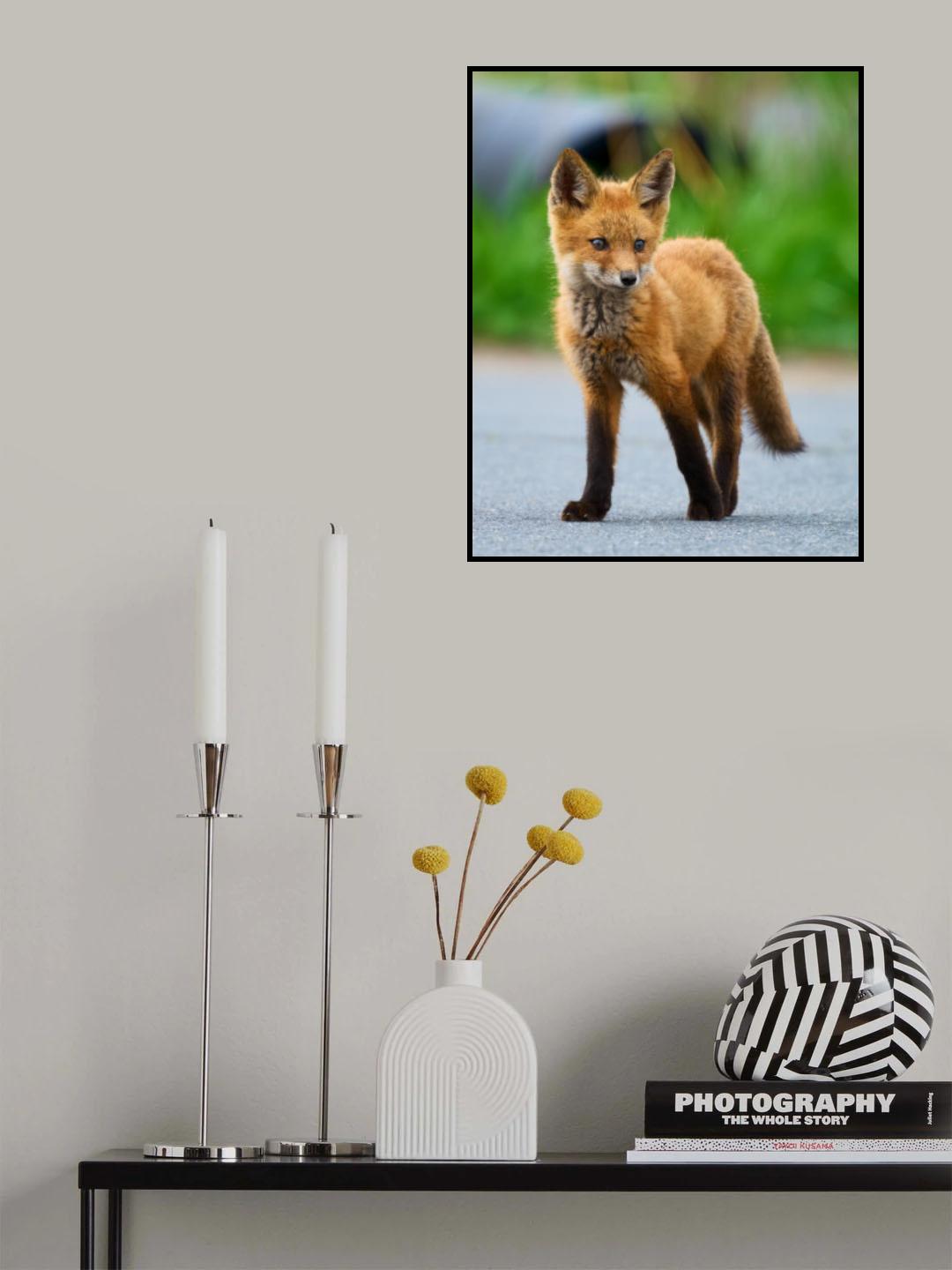 Red Fox Poster och Canvastavla