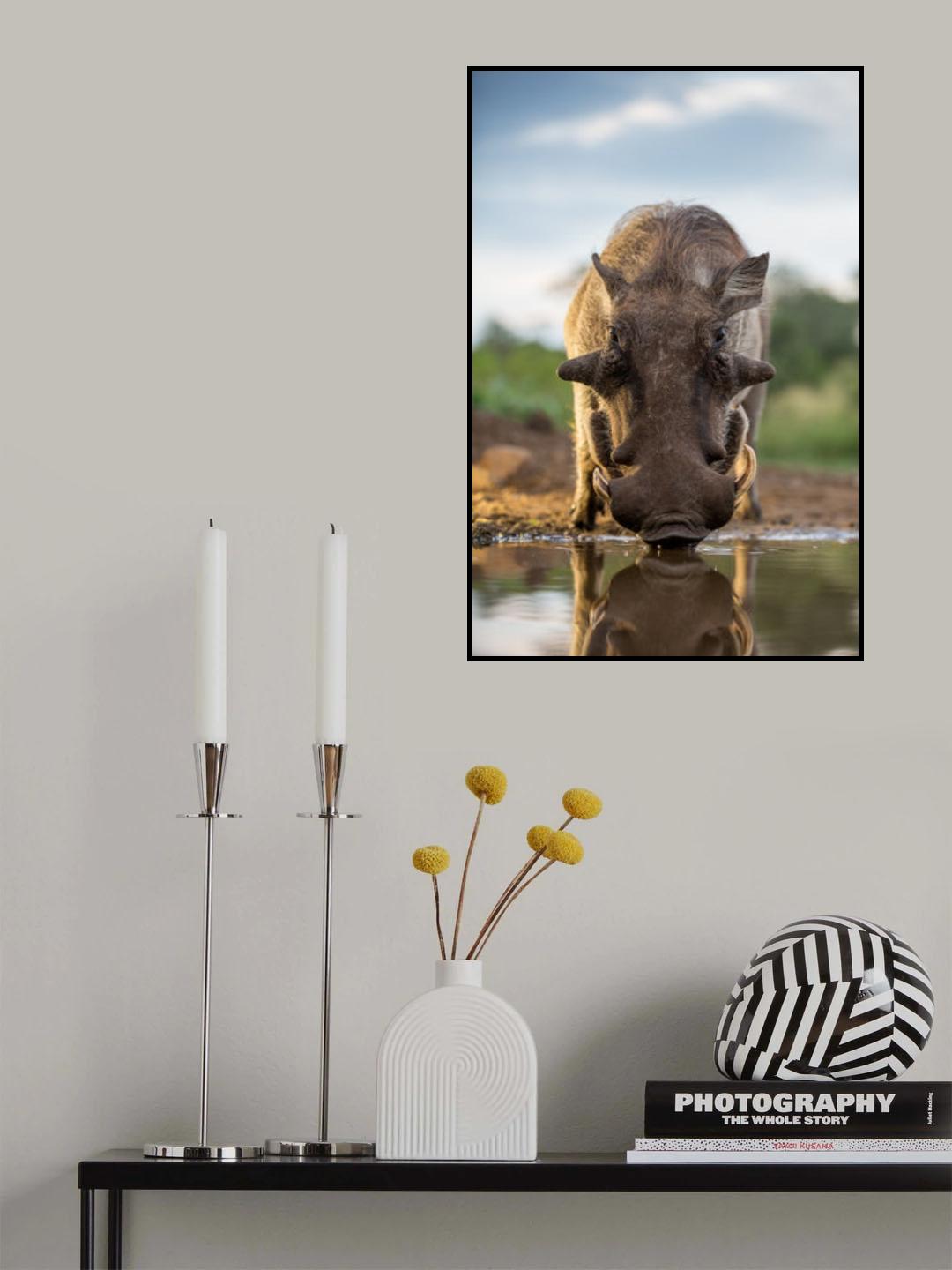 HEAD ON HOG Poster och Canvastavla