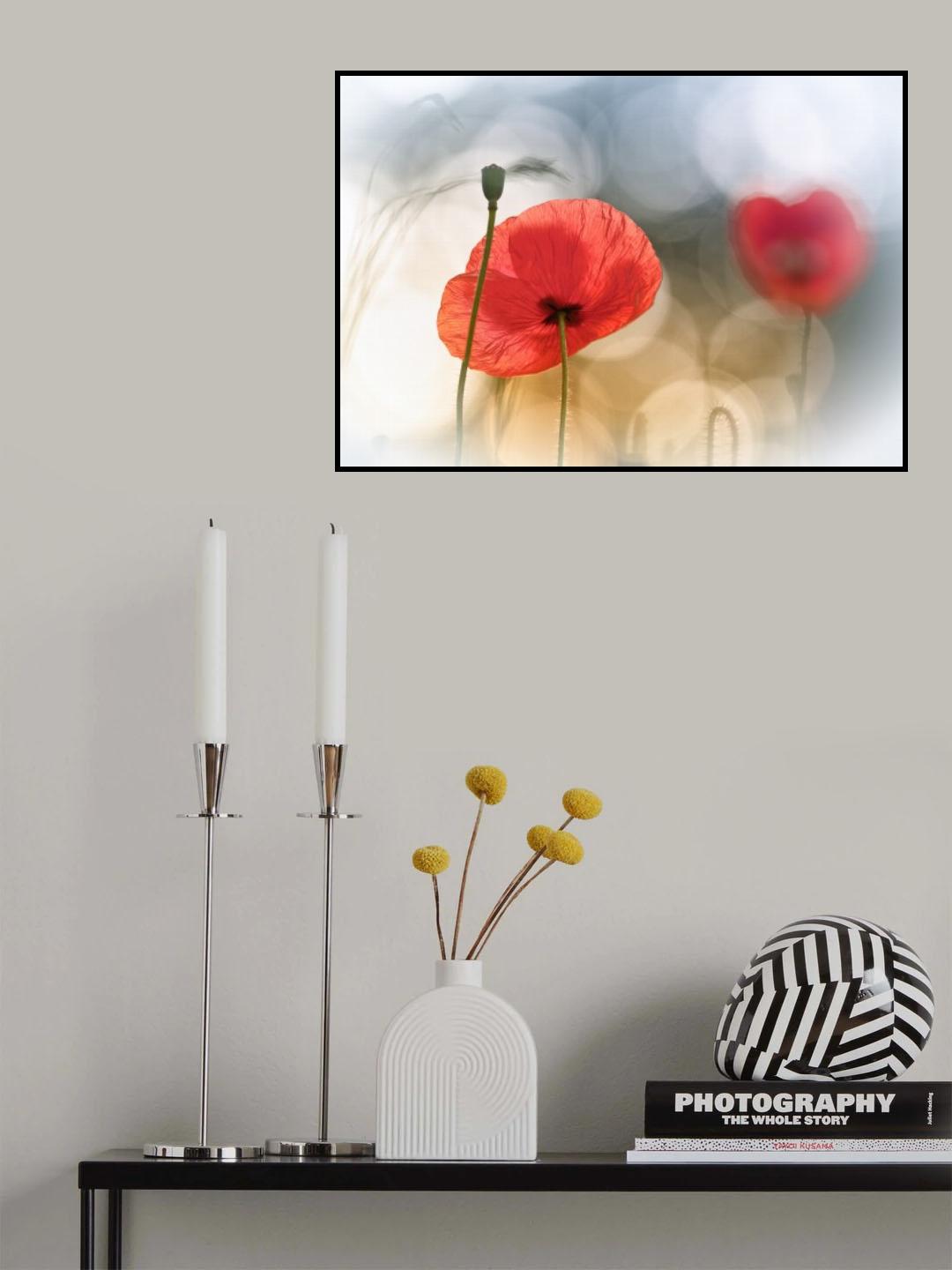 Morning Poppies Poster och Canvastavla
