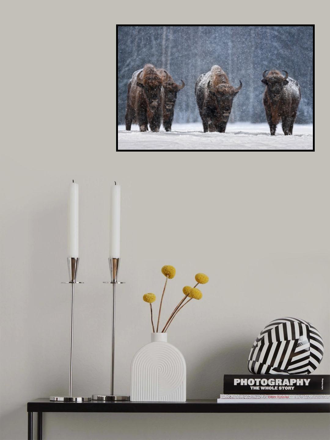 Let it snow.. Poster och Canvastavla