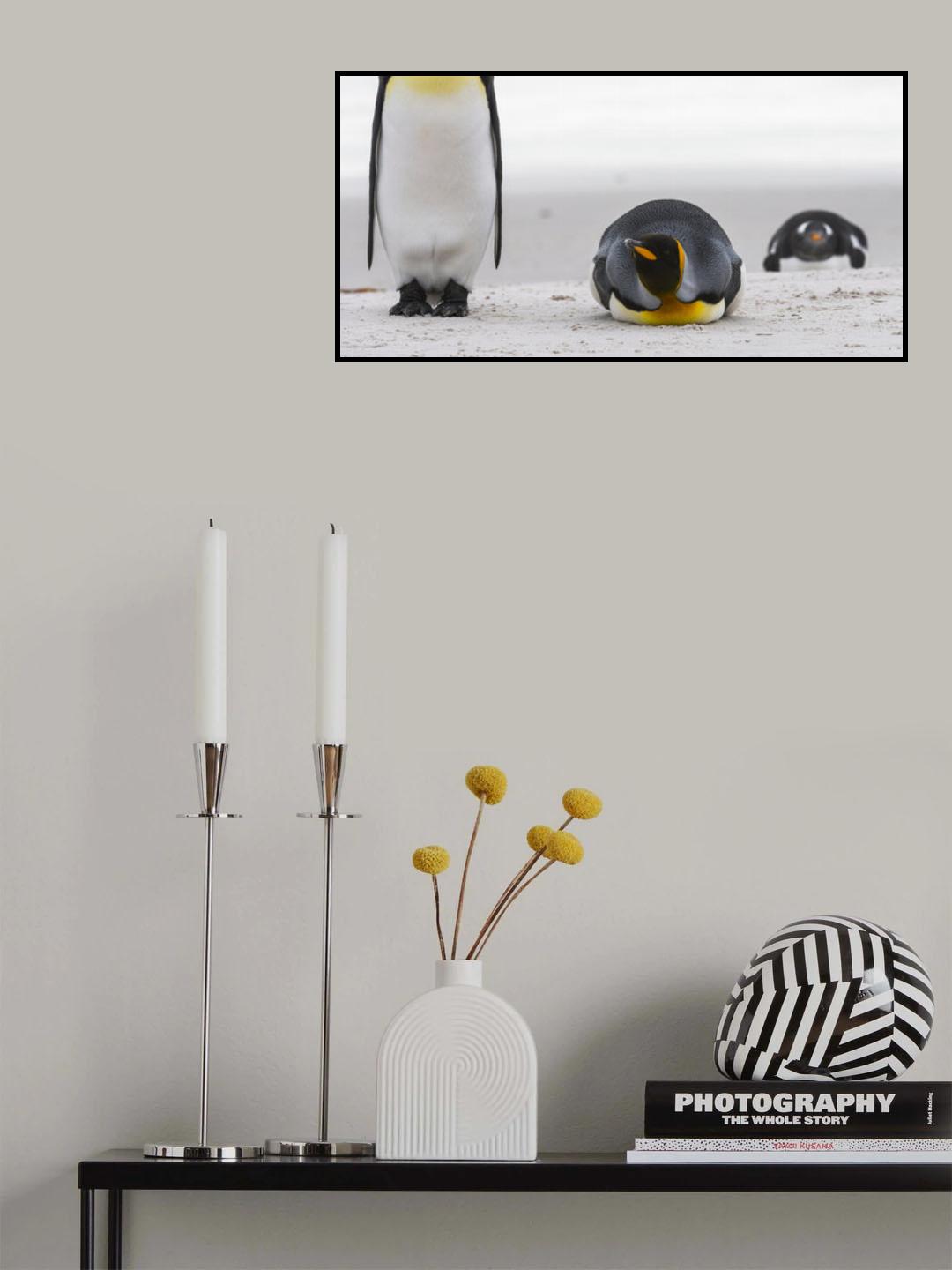 penguin look Poster och Canvastavla