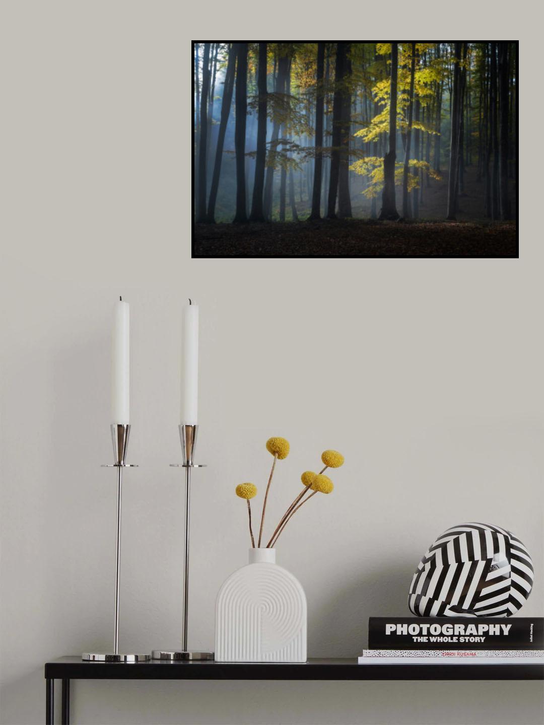 Foggy forest Poster och Canvastavla