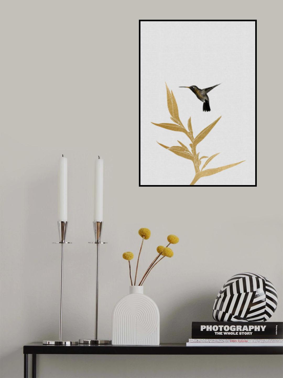 Hummingbird & Flower Ii Poster och Canvastavla
