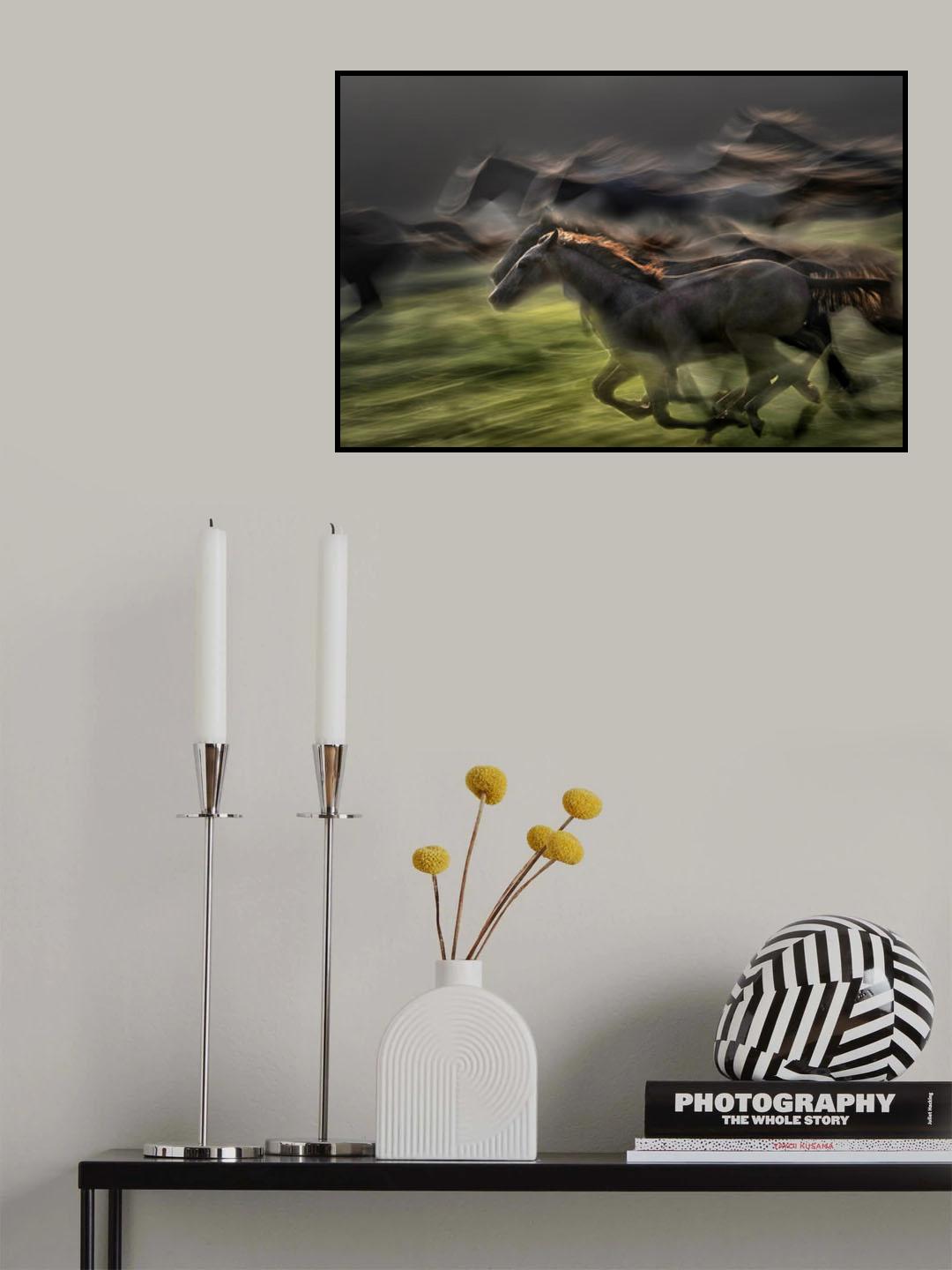 In gallop Poster och Canvastavla