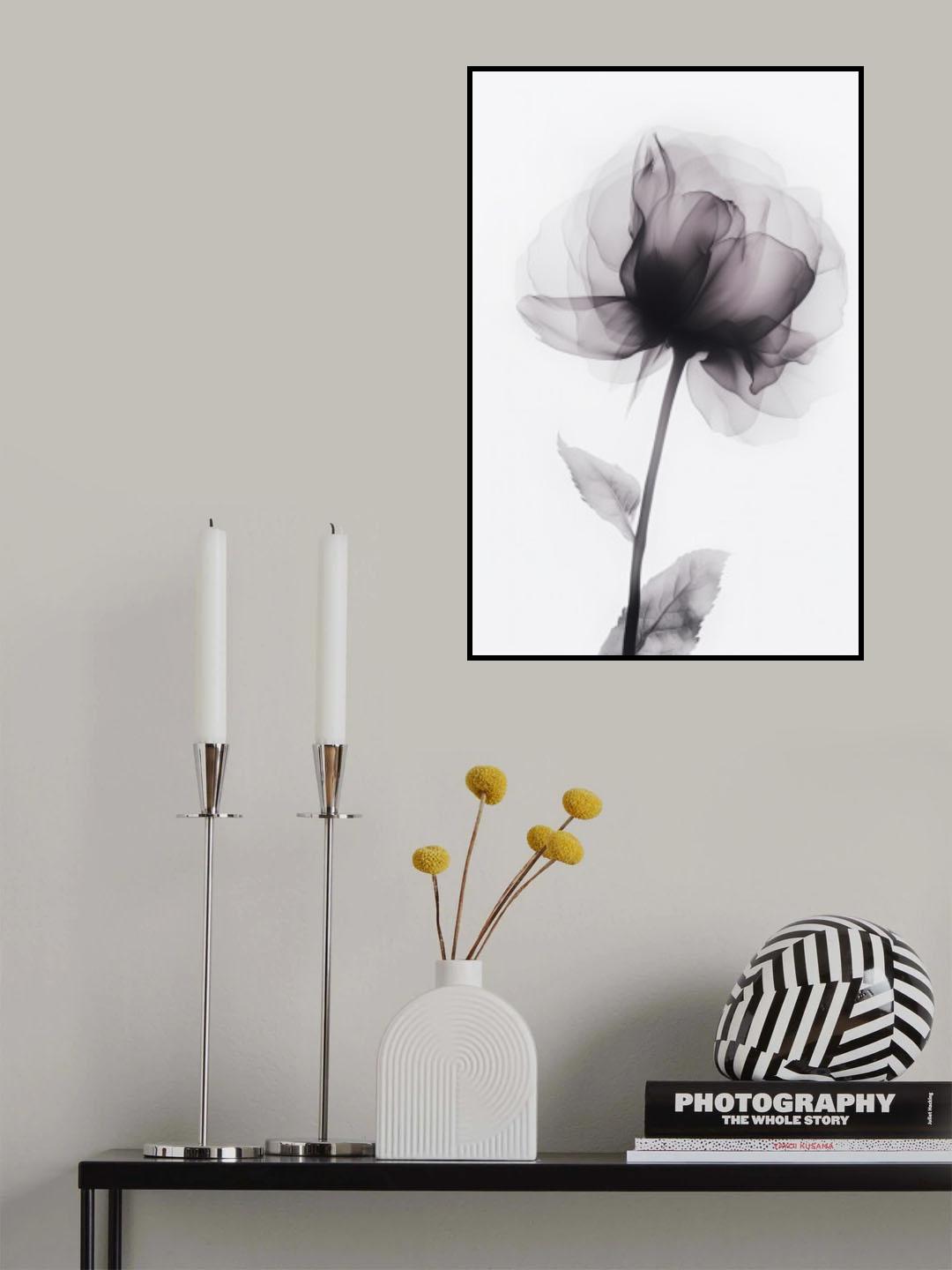 X Ray 1 Poster och Canvastavla