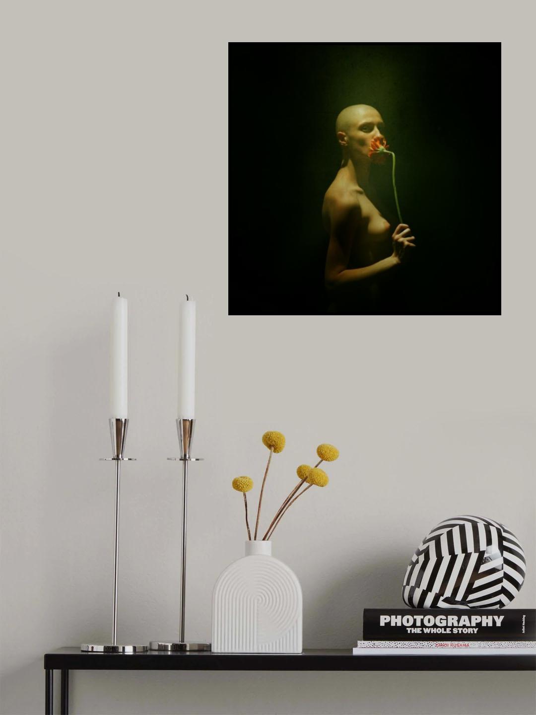 *** Poster och Canvastavla