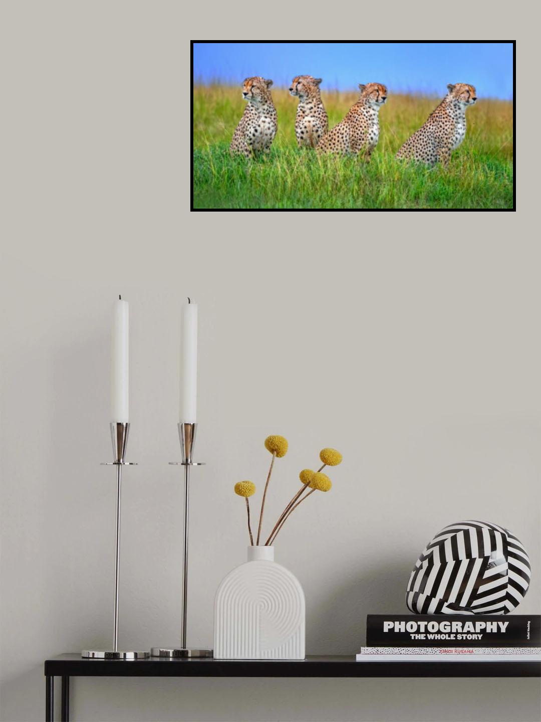 Looking for prey everywhere Poster och Canvastavla