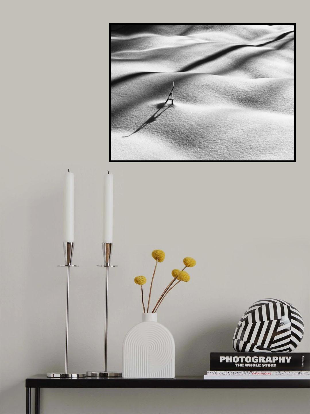 Snowshadows Poster och Canvastavla