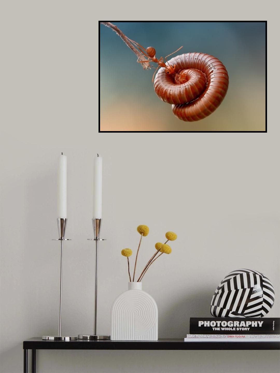 the amazing ant Poster och Canvastavla