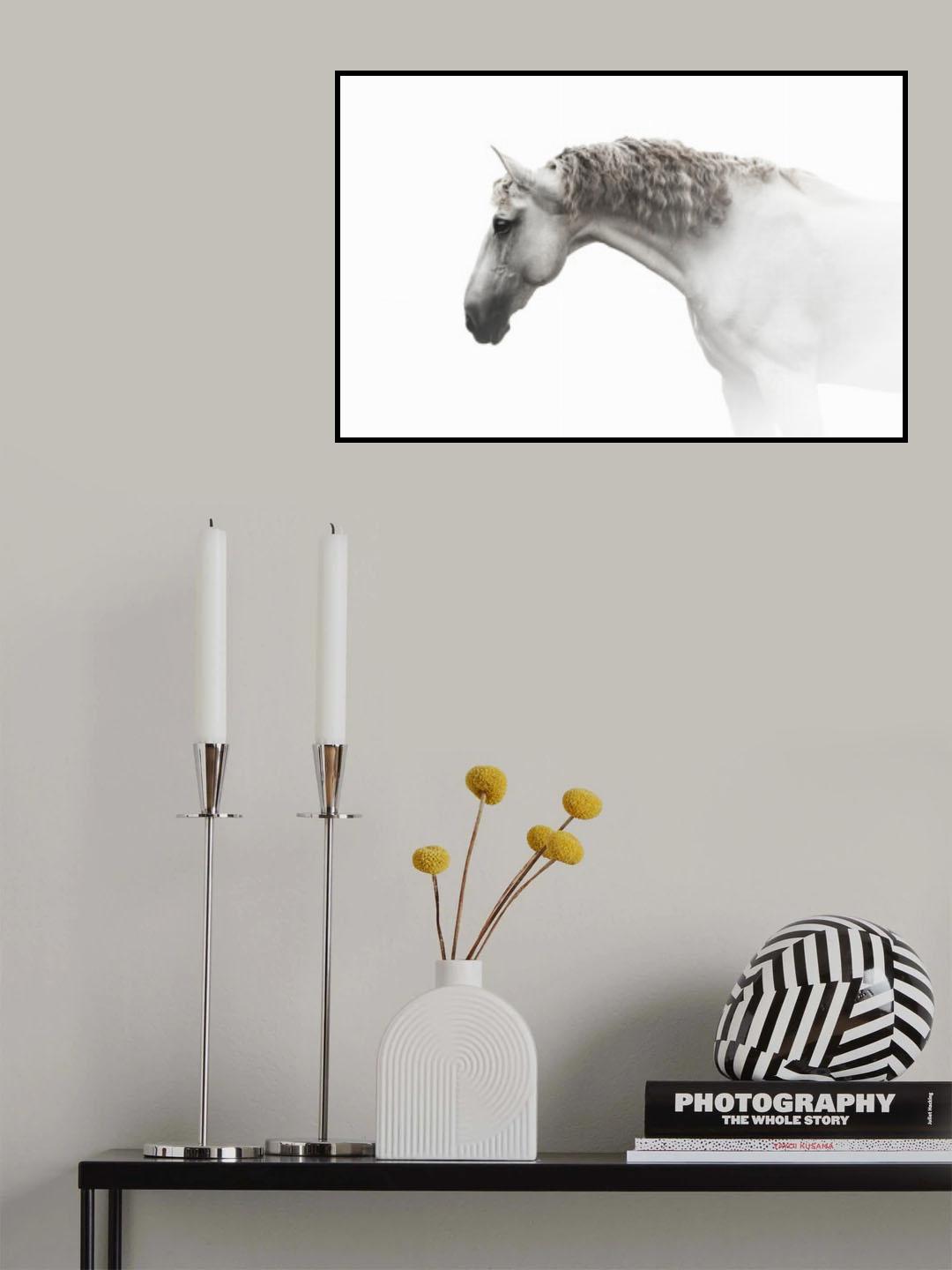 Curly hair… Poster och Canvastavla