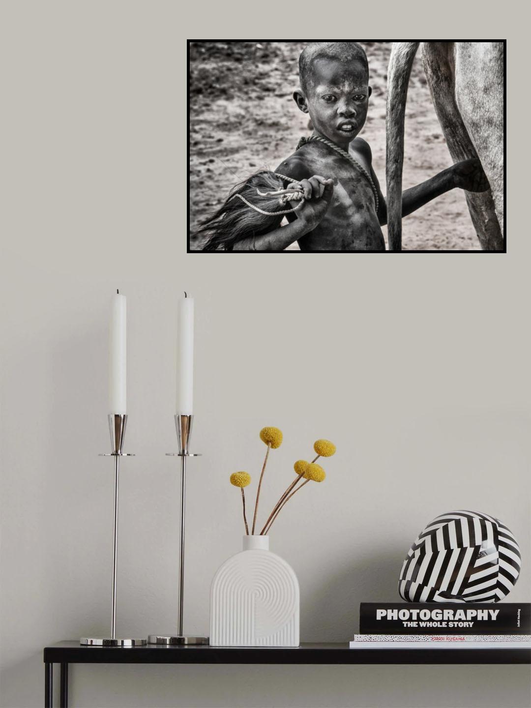 Ready to stimulate the cow - South Sudan Poster och Canvastavla