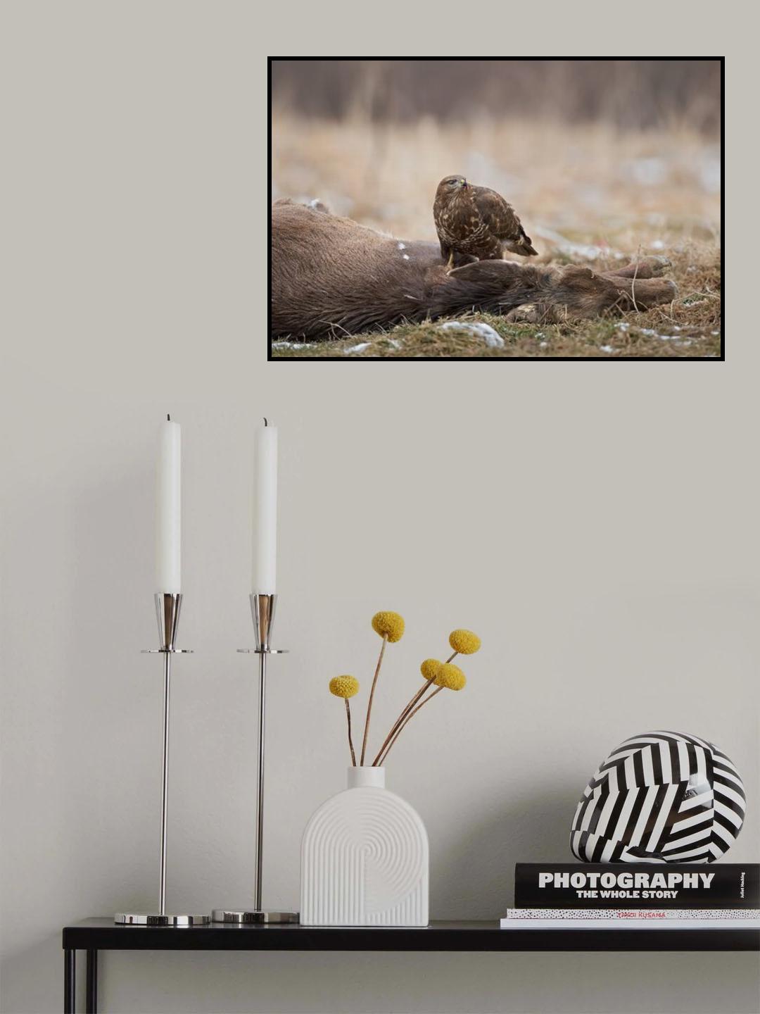 The big prey Poster och Canvastavla